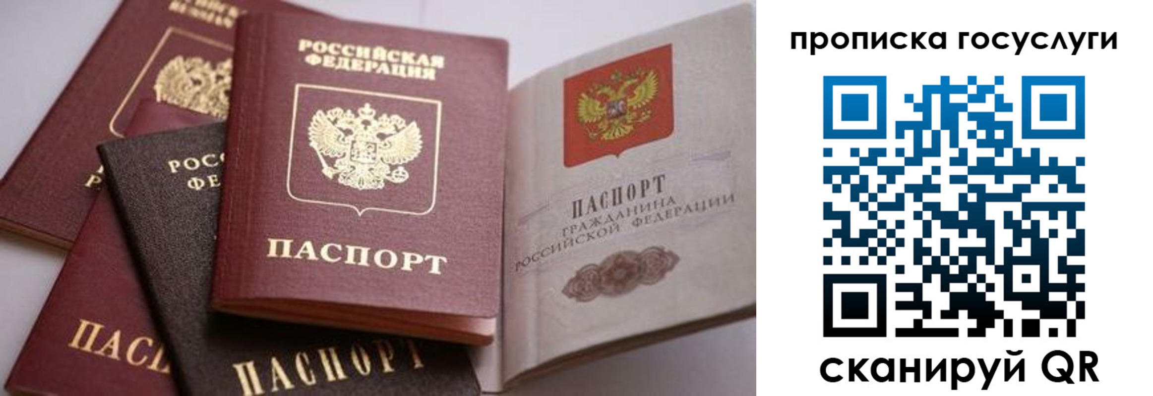 прописка иностранных граждан в Луге