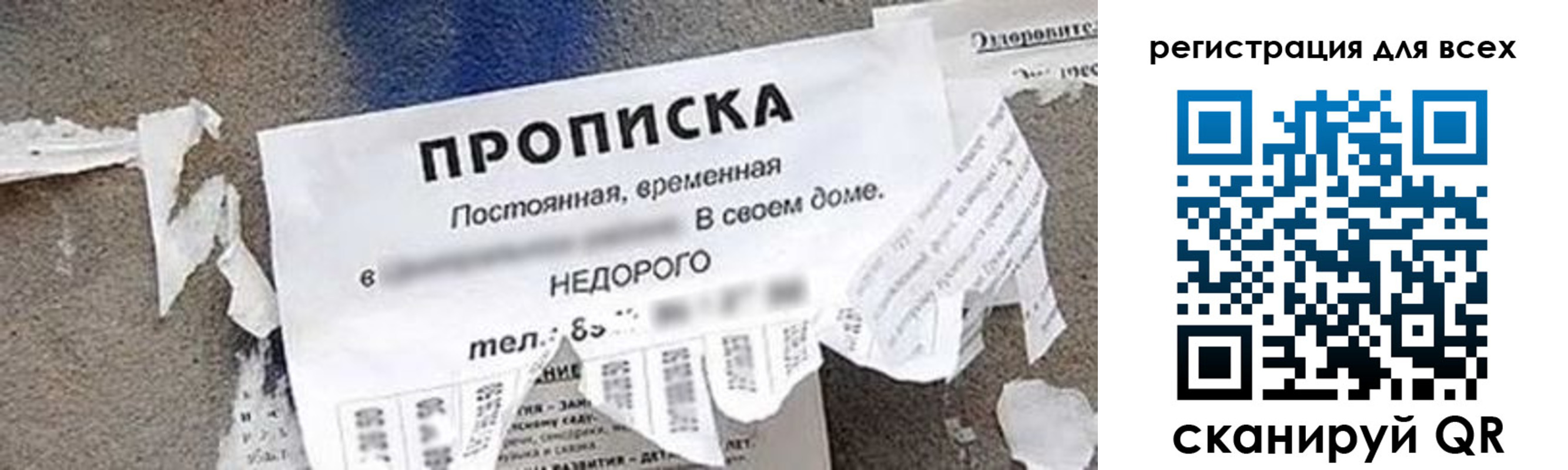 прописка поиск в Луге